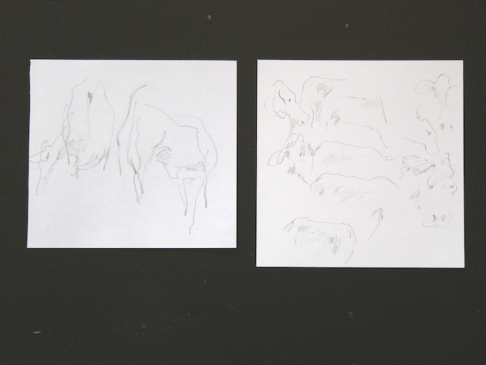 Cow Drawings - Two + Mob. 